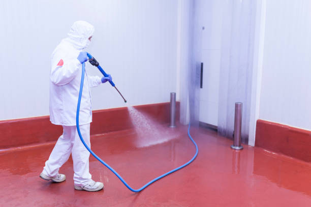 Best Post-Construction Pressure Washing  in Grand Ledge, MI